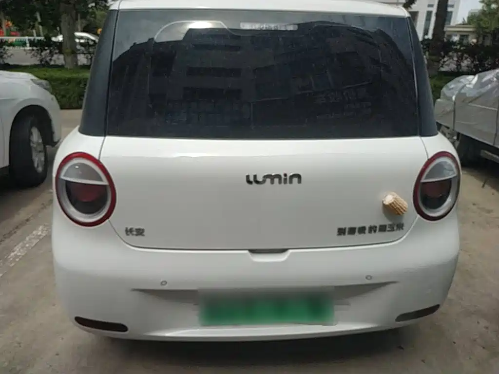 Qiyuan Lumin — миниатюра 6
