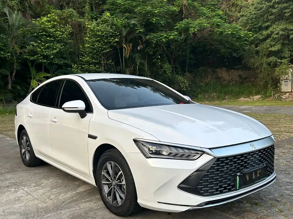BYD Qin PLUS — миниатюра 3