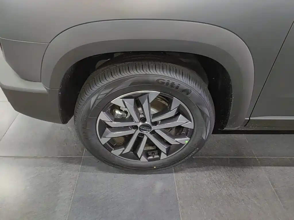 Haval Big Dog — миниатюра 23