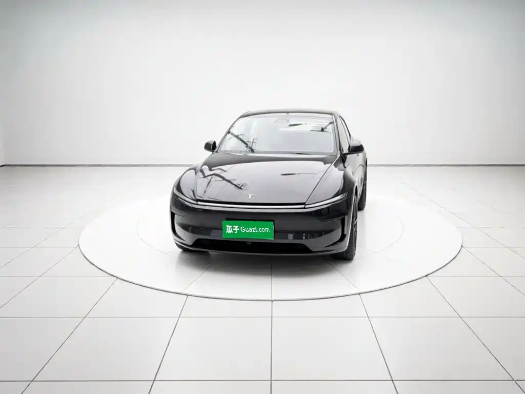Tesla Model Y — миниатюра 2