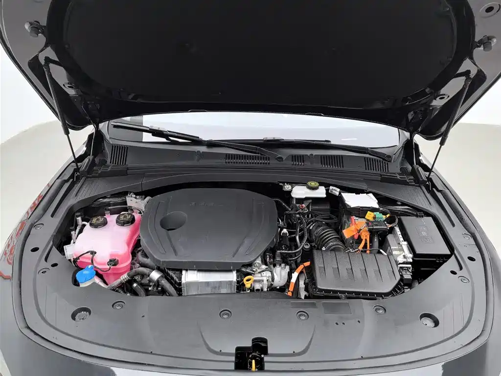 GEELY AUTOMOBILE XINGRUI