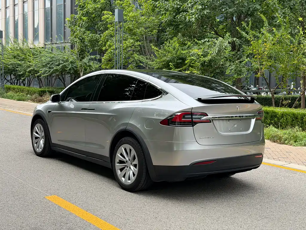 Tesla Model X — миниатюра 6