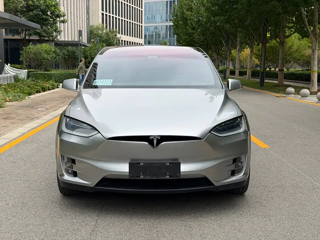 Tesla Model X — миниатюра 2