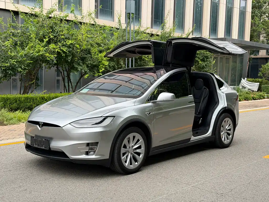 Tesla Model X — миниатюра 8