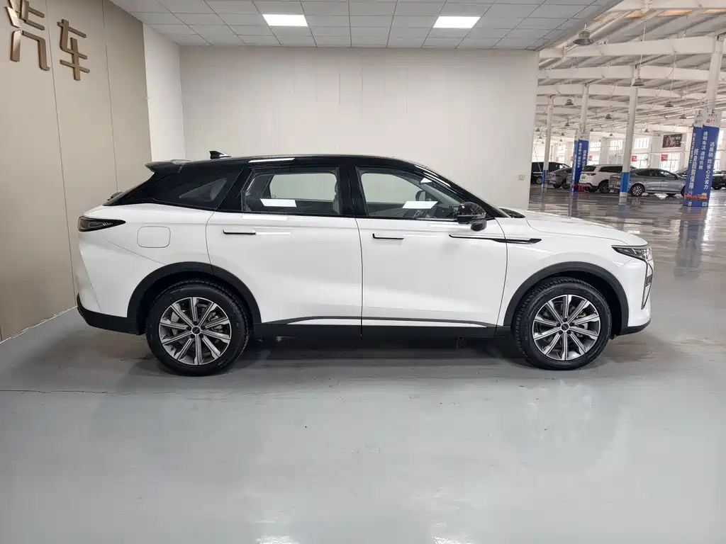 Exeed Yaoguang C-DM — миниатюра 8