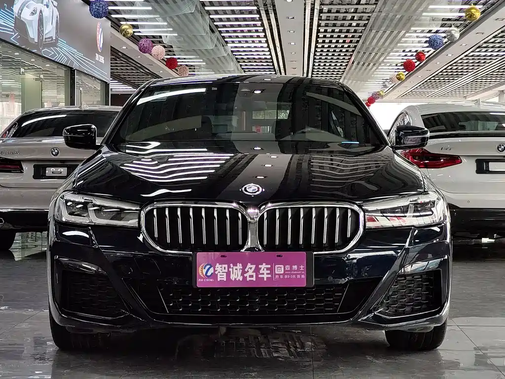 BMW 5 SERIES NEW ENERGY