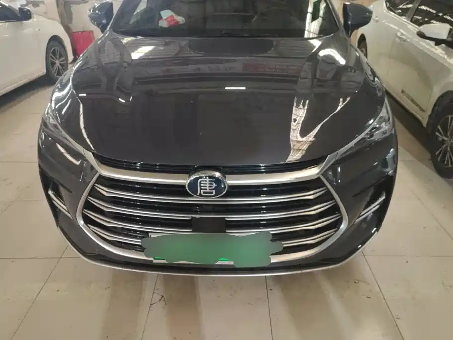 BYD Tang New Energy — миниатюра 2