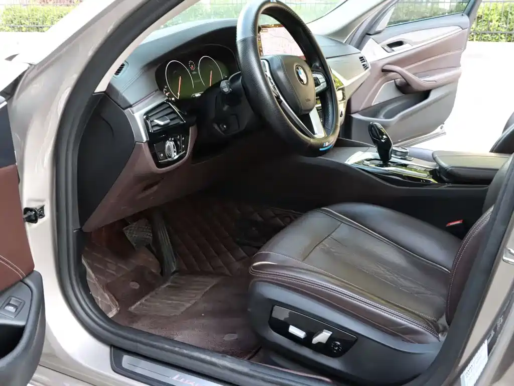 BMW 5 Series 5 2019 530Li Premium Luxury