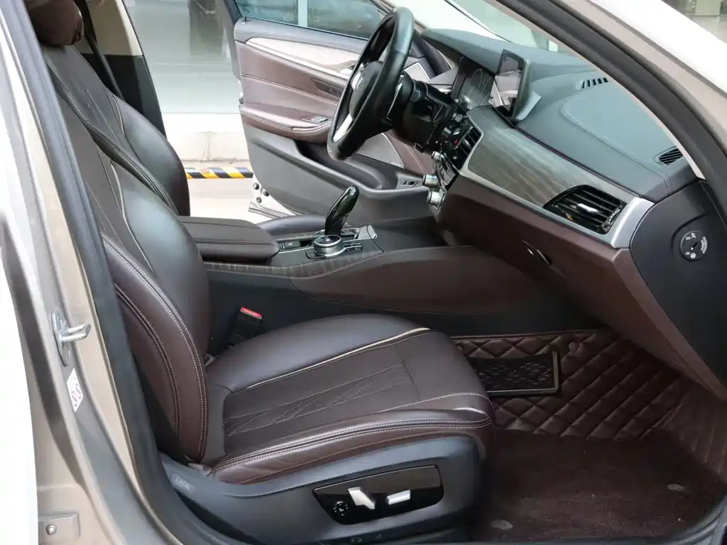 BMW 5 Series 5 2019 530Li Premium Luxury