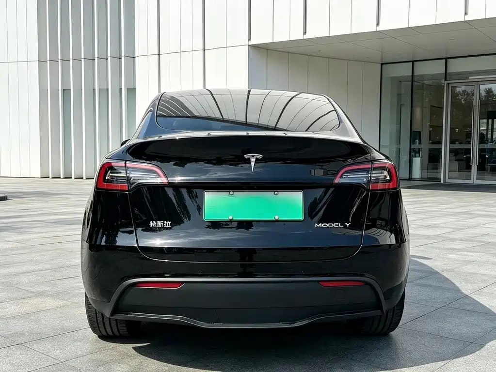 Tesla Model Y — миниатюра 4