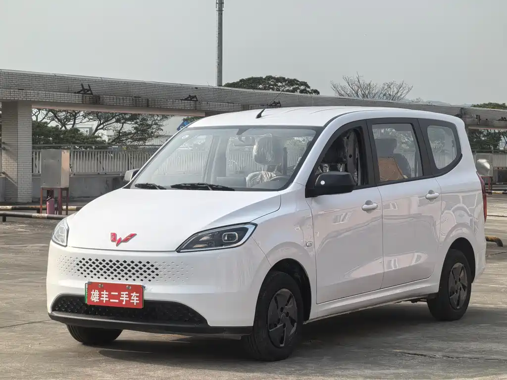 WULING WULING HONGGUANG NEW ENERGY