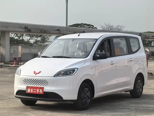 WULING WULING HONGGUANG NEW ENERGY 2025