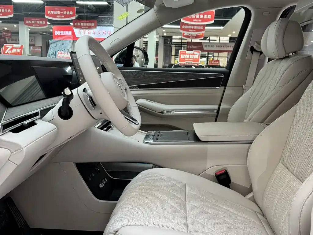 BYD Datang — миниатюра 12
