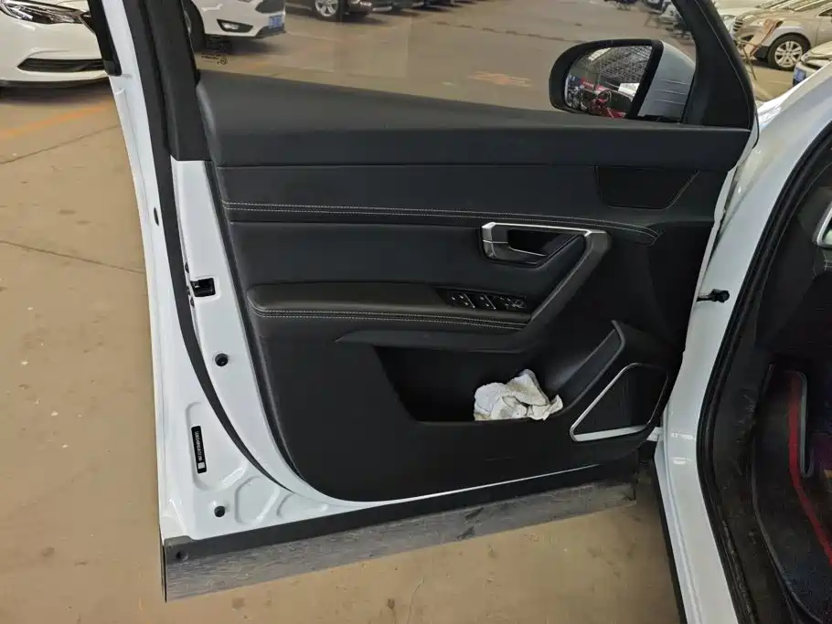 BYD Pro — миниатюра 7
