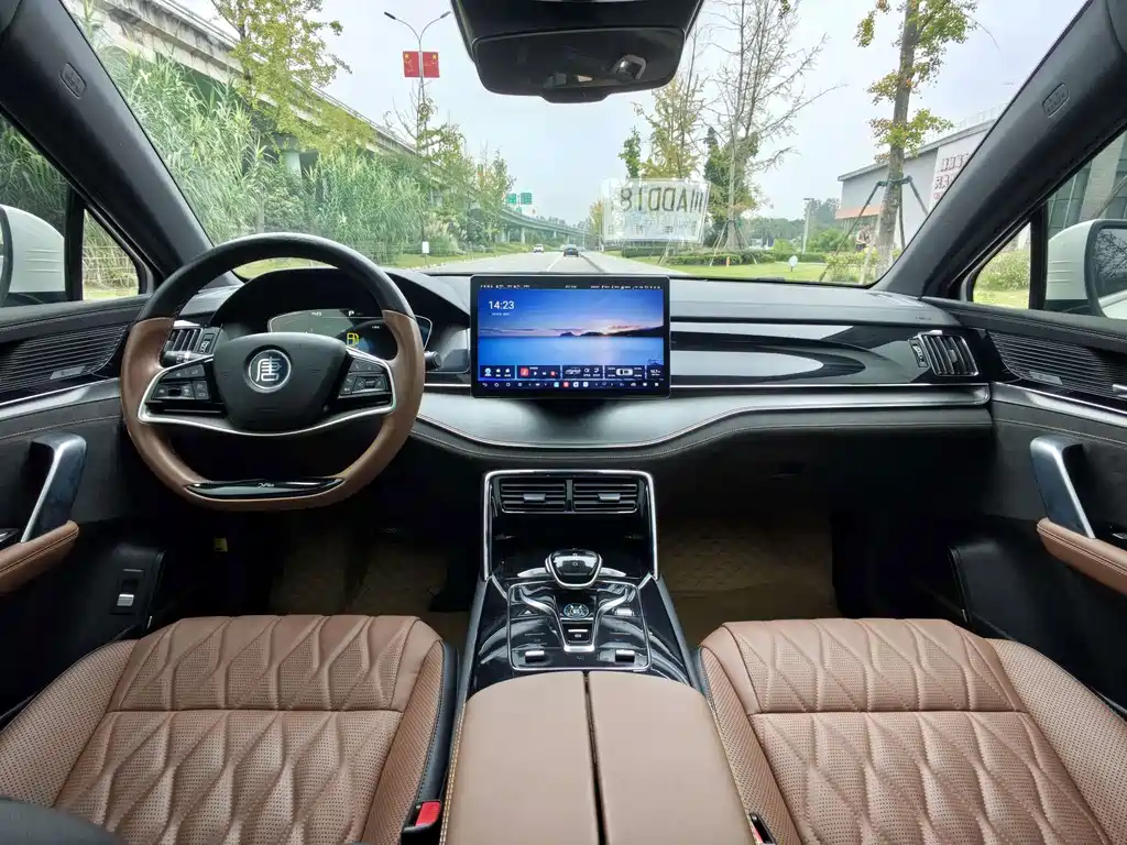 BYD Tang New Energy — миниатюра 11