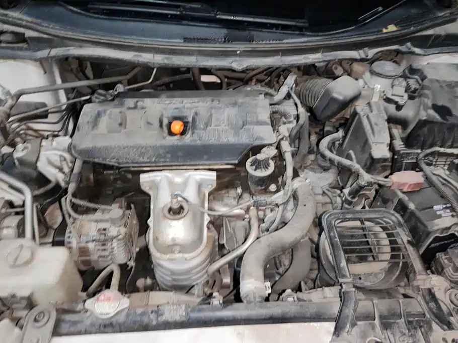 Honda Jade — миниатюра 10