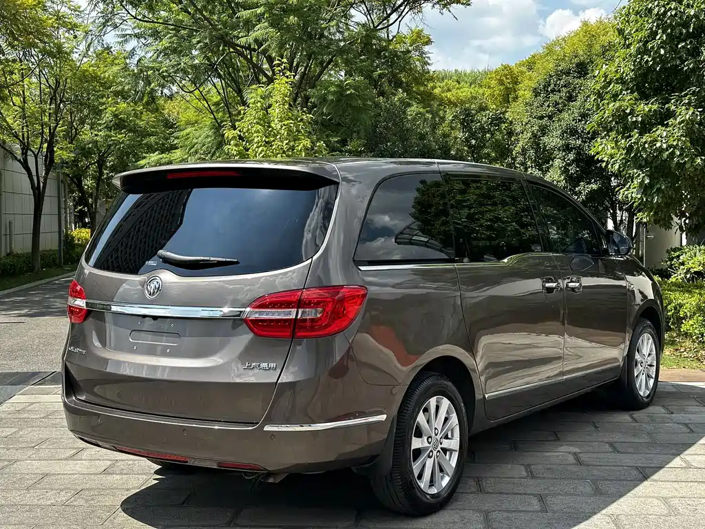 Buick GL8 — миниатюра 9
