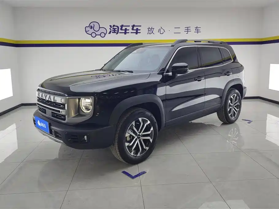 HAVAL BIG DOG