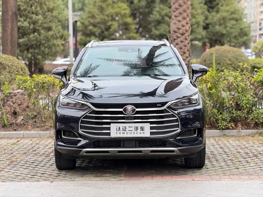 BYD Tang 2018 2.0T AT 7 мест V