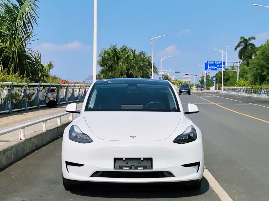 Tesla Model Y — миниатюра 2
