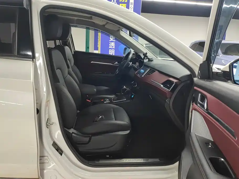 Haval H6 Coupe — миниатюра 8