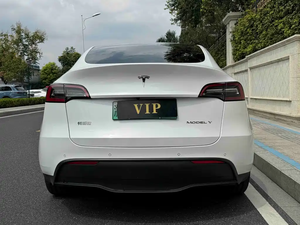 Tesla Model Y — миниатюра 4