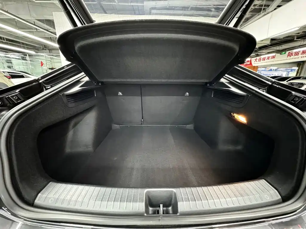 Volkswagen Lamando — миниатюра 17