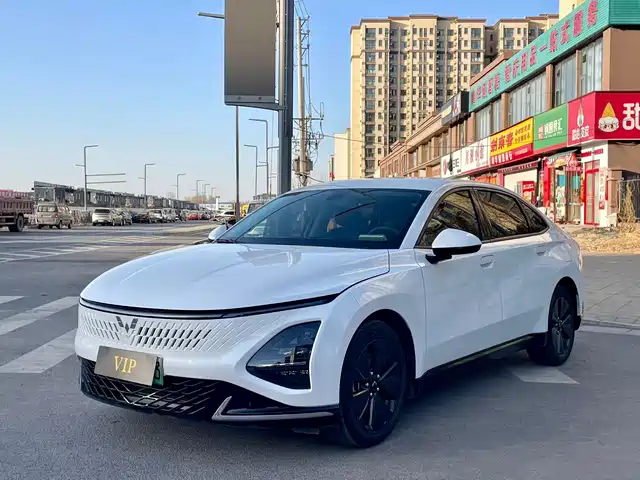 WULING WULING STARLIGHT 2024