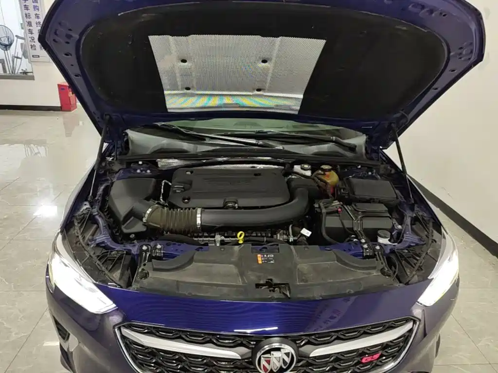 Buick Regal — миниатюра 20