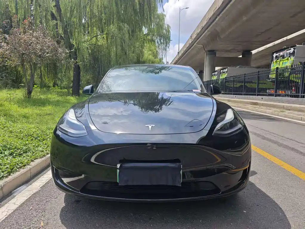 Tesla Model Y — миниатюра 2