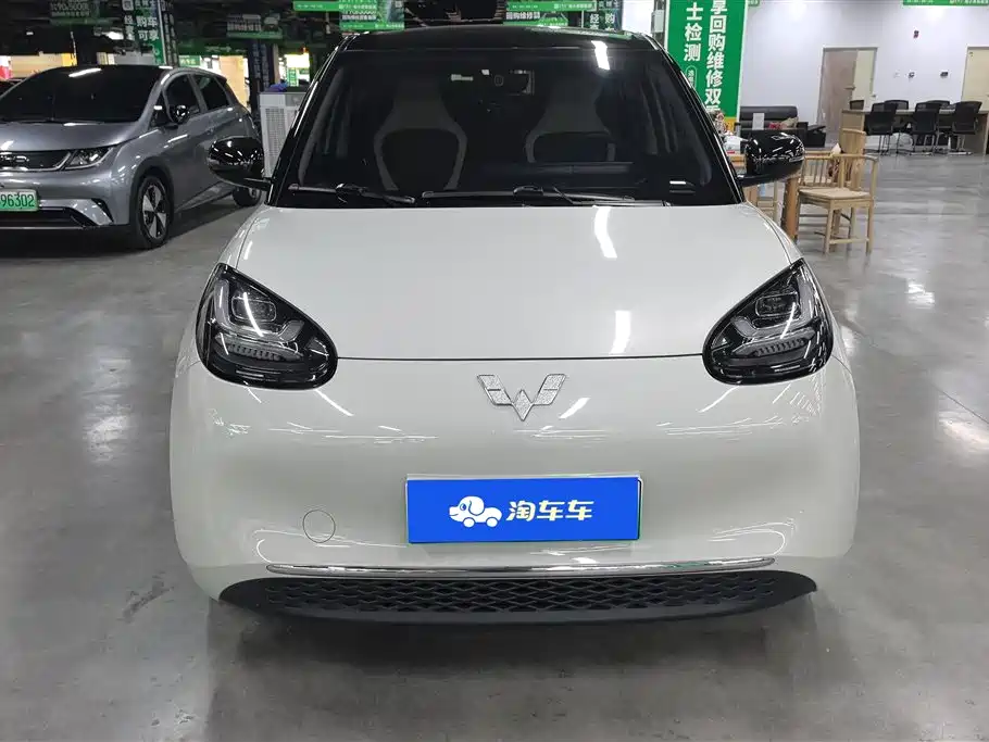 Wuling Binguo 2024 333km Enjoy