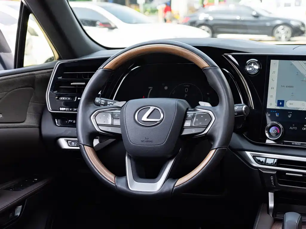 Lexus RX New Energy — миниатюра 14
