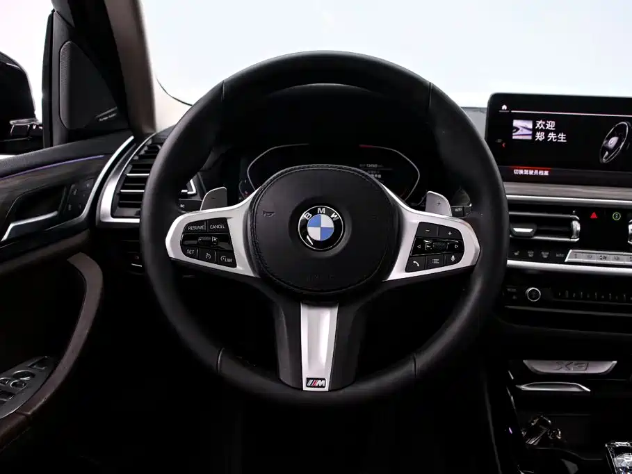 BMW X3 — миниатюра 7