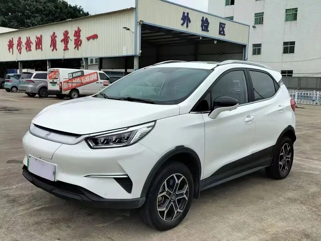 BYD Yuan Pro 2021 One Life One World Edition