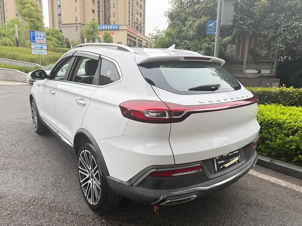 Leopaard Mattu — миниатюра 7