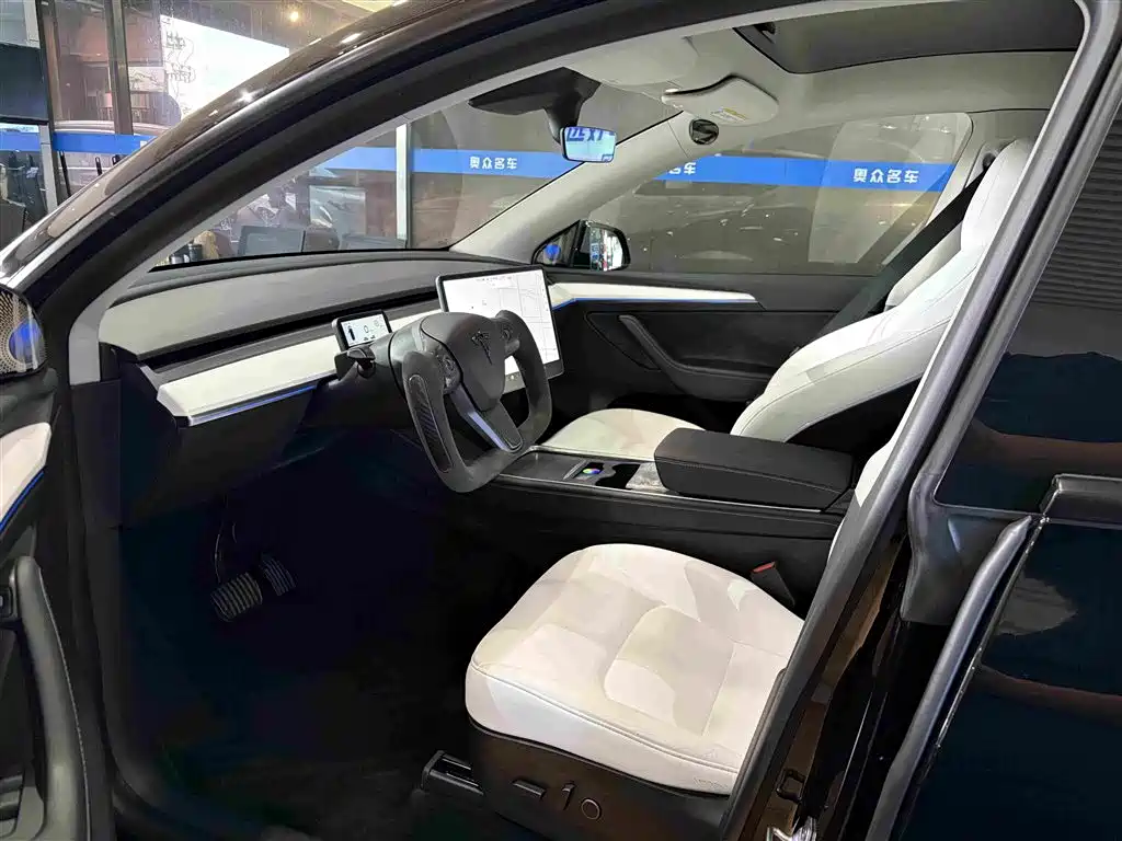 Tesla Model Y — миниатюра 4