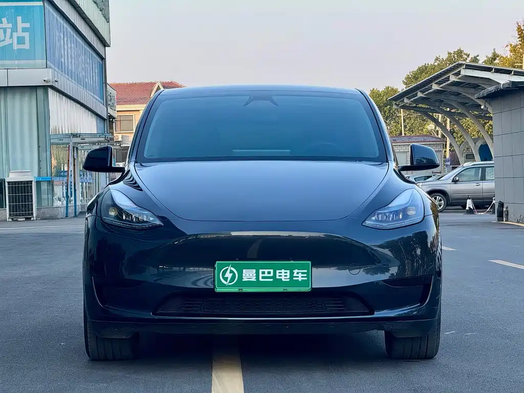 Tesla Model Y — миниатюра 2