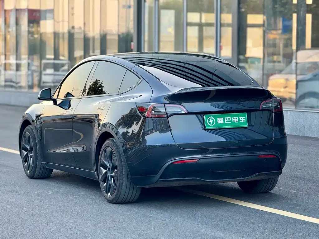 Tesla Model Y — миниатюра 6
