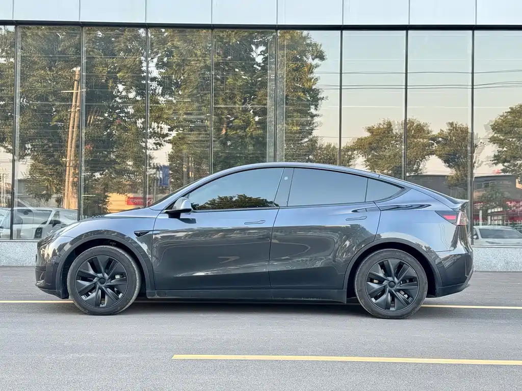 Tesla Model Y — миниатюра 5