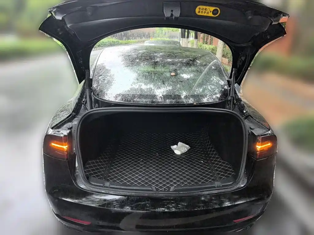 Tesla Model 3 — миниатюра 20