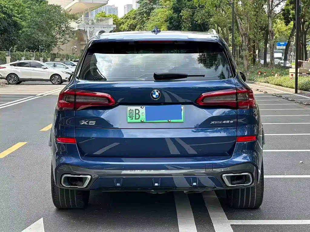 BMW X5 New Energy (Import) — миниатюра 3