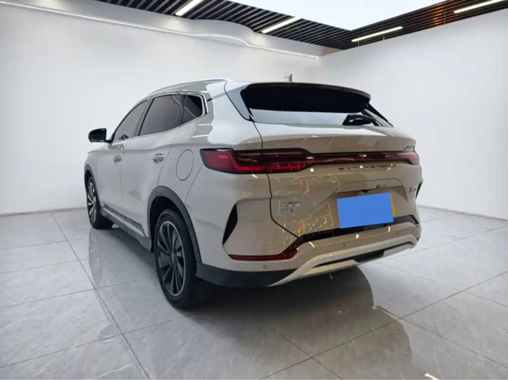 BYD PLUS New Energy — миниатюра 7
