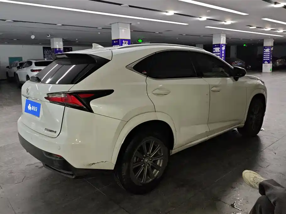 LEXUS NX