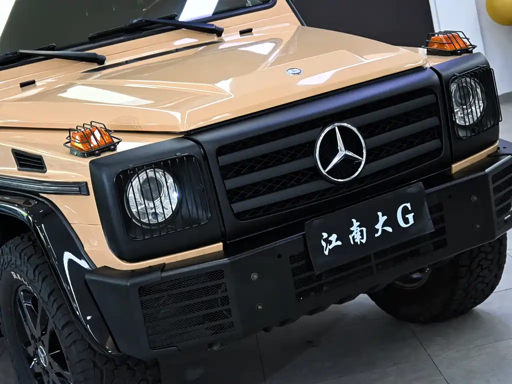 Mercedes-Benz G-Class G 2010 G 500