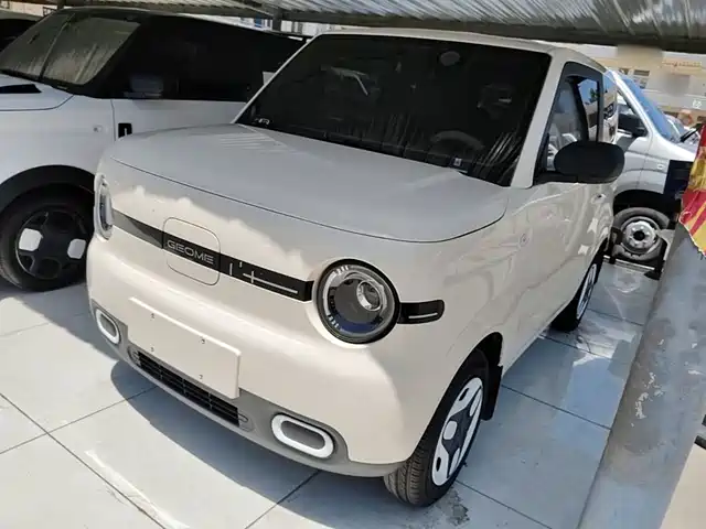 2025 Geely LC (Panda)