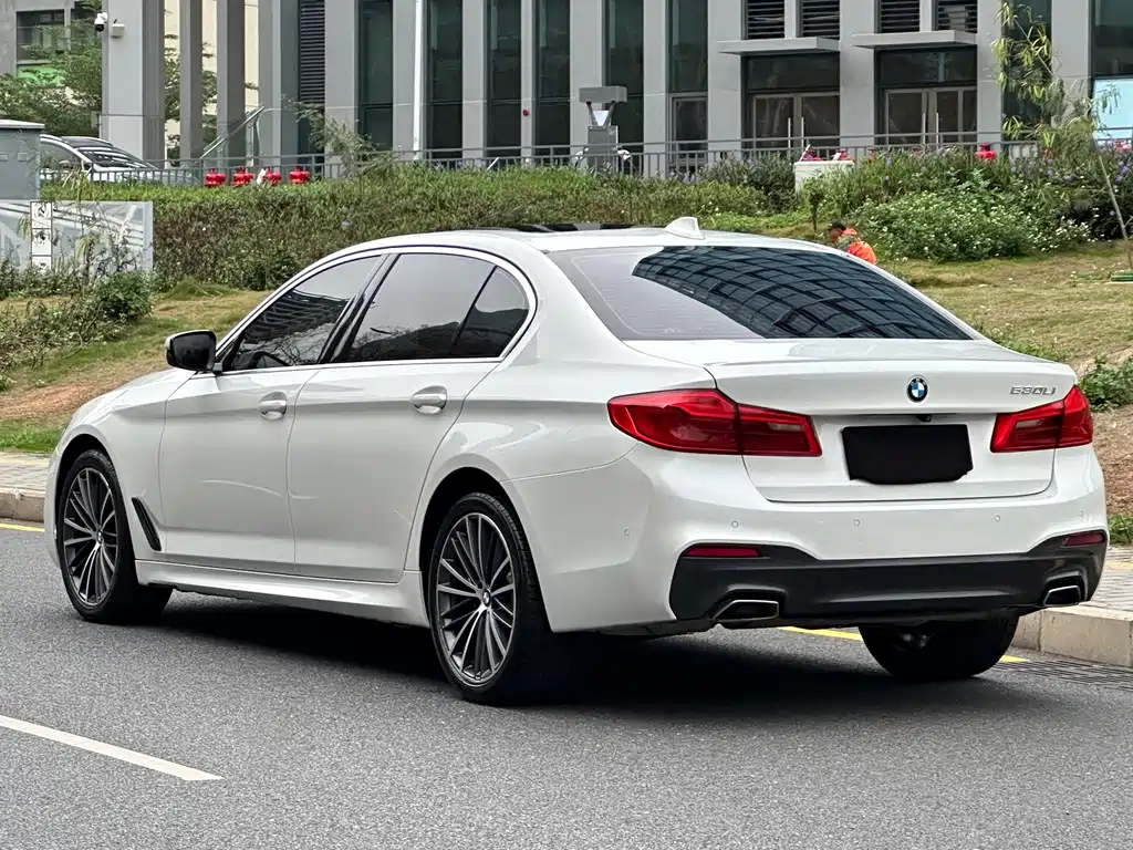BMW 5 Series 5 2020 530Li Premium M Sport