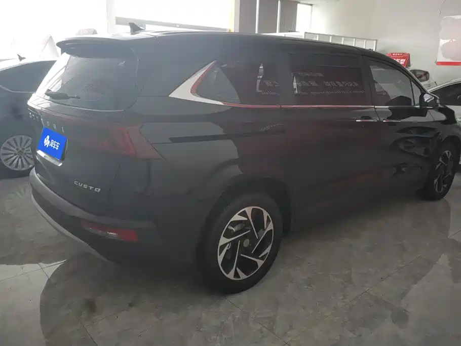 Hyundai Custo — миниатюра 3