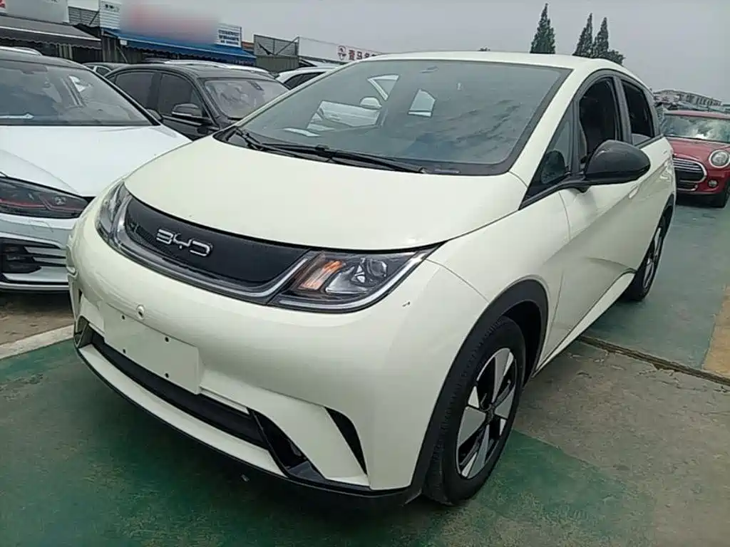 BYD Dolphin 2023 420km Free Edition