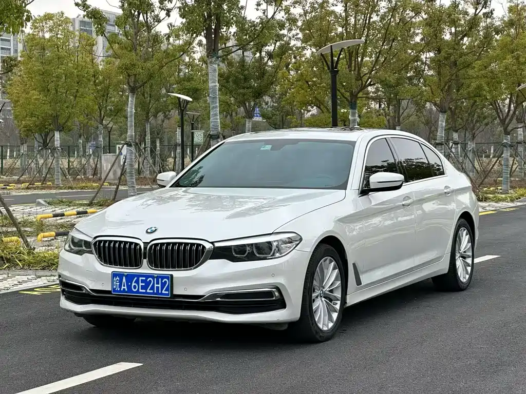 BMW 5 Series 2019 530Li Leading Type Luxury Package
