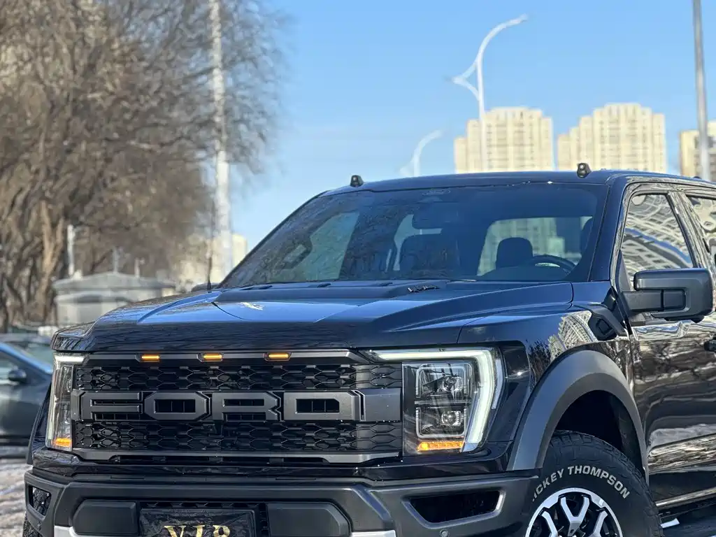 FORD F 150 RAPTOR